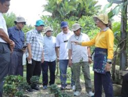 Bupati Asahan Studi Tiru ke Taman Socfindo Conservation