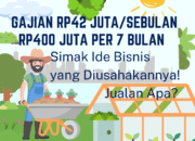 Ide Usaha Jualan Cabe Ilustrasi Ide Usaha dengan berbisnis Jualan Cabe