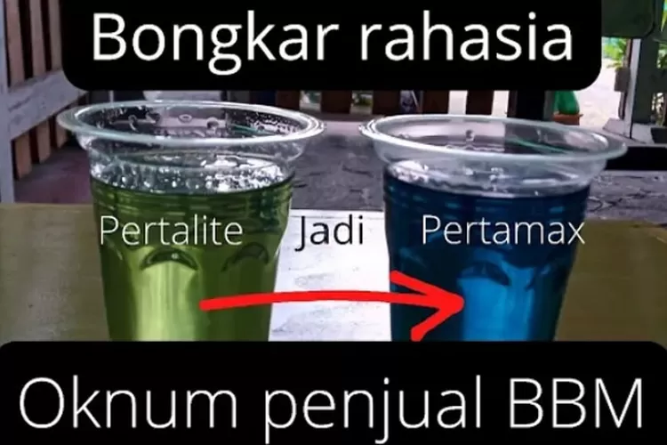 1615694972 1615694972