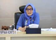 Aji-Mirni-Mawarni Wakil Ketua Komite II DPD RI, Aji Mirni Mawarni