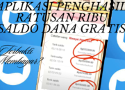 Saldo DANA Aplikasi Penghasil Uang Super Birds