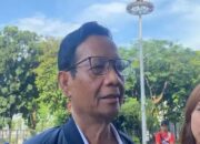 images (1) images 1 1