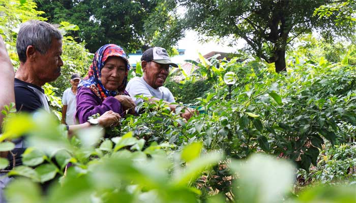 Agrowisata Lansia di Bekasi, Jawa Barat
