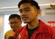 NasDem Kaesang Pangarep Penuhi Syarat Calon Kepala Daerah