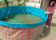 IMG-20240708-WA0005 IMG 20240708 WA0005