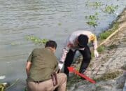 Warga-Karawang-Ditemukan-Tewas-Tenggelam-di-Irigasi-BTT-Subang Warga Karawang Ditemukan Tewas Tenggelam di Irigasi BTT Subang