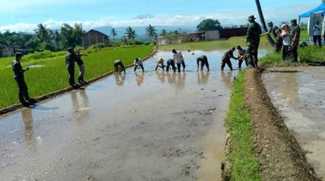 Kodim 0706/Temanggung ikut Gerakan Menanam Padi Serentak