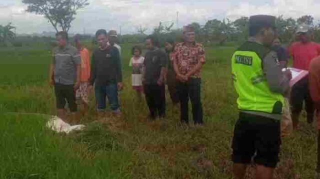 Warga Puring Kebumen Ditemukan Meninggal di Sawah
