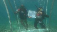 IMG-20260606-WA0024 Ist